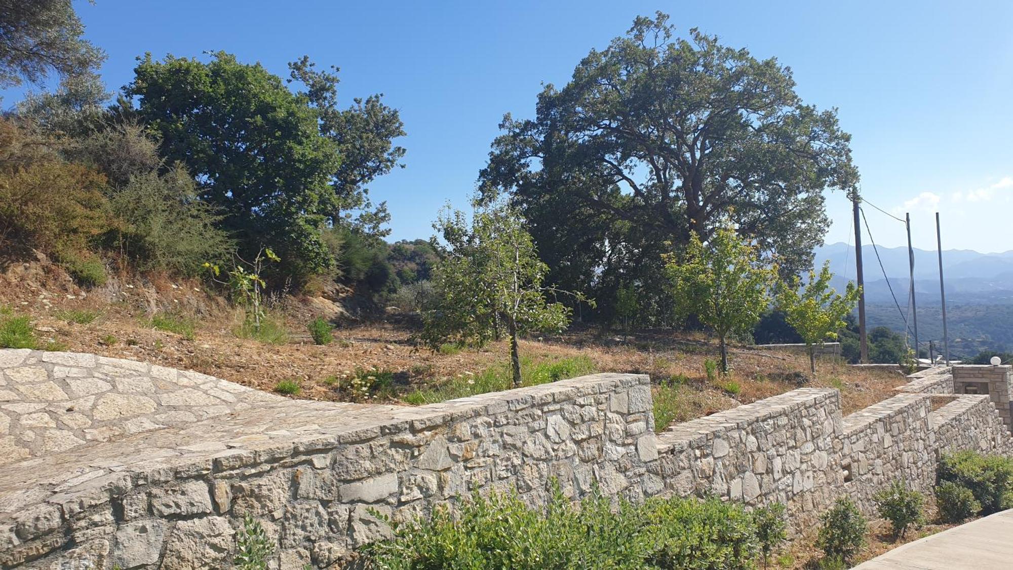 Villa Nelia Ano Valsamoneron Exterior photo